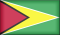 Try Binary Options - Guyana
